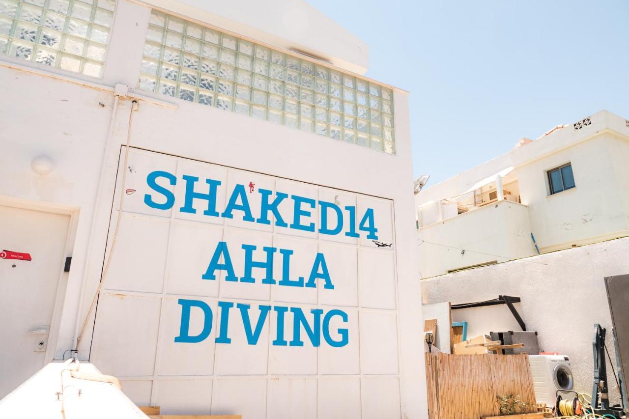 Dive Time Villa 엘라트 외부 사진
